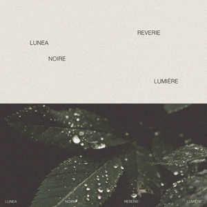 操操鲁操鲁鲁鲁
